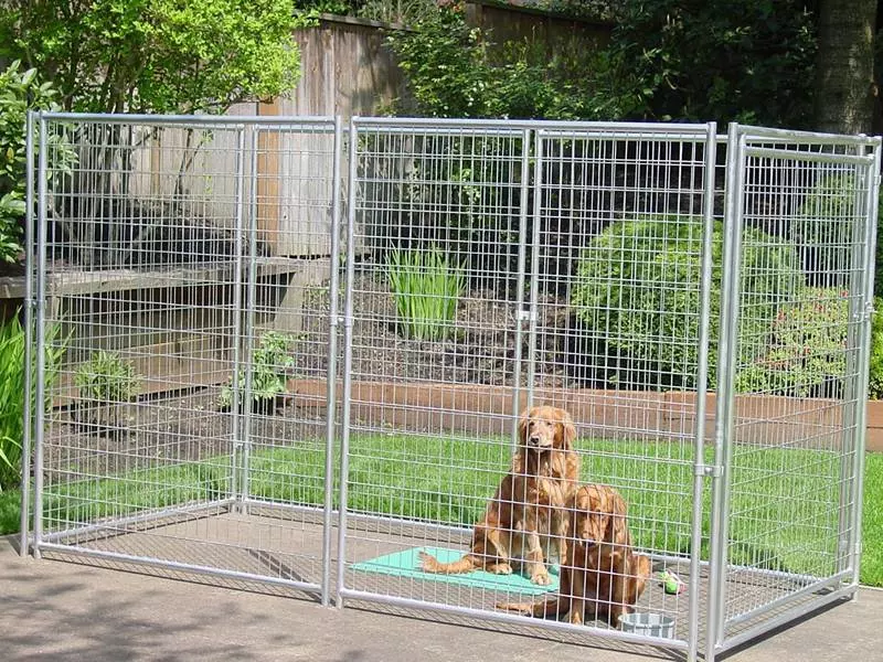 Hayvan Barınağı Çitleri