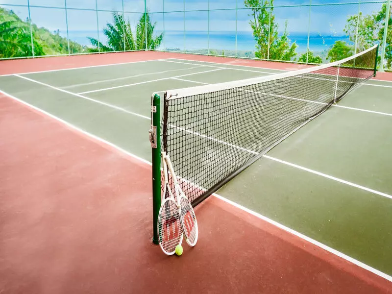Tenis Direği ve Filesi